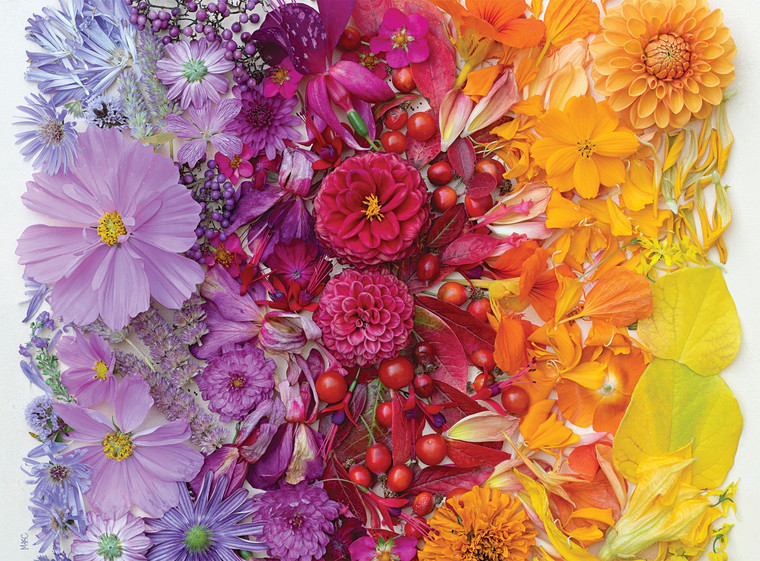 Bonjour: Gradient Flora 1000 Piece Puzzle